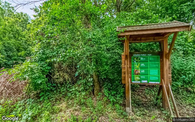 Oranica, Dvorište, Kuća – Čepin